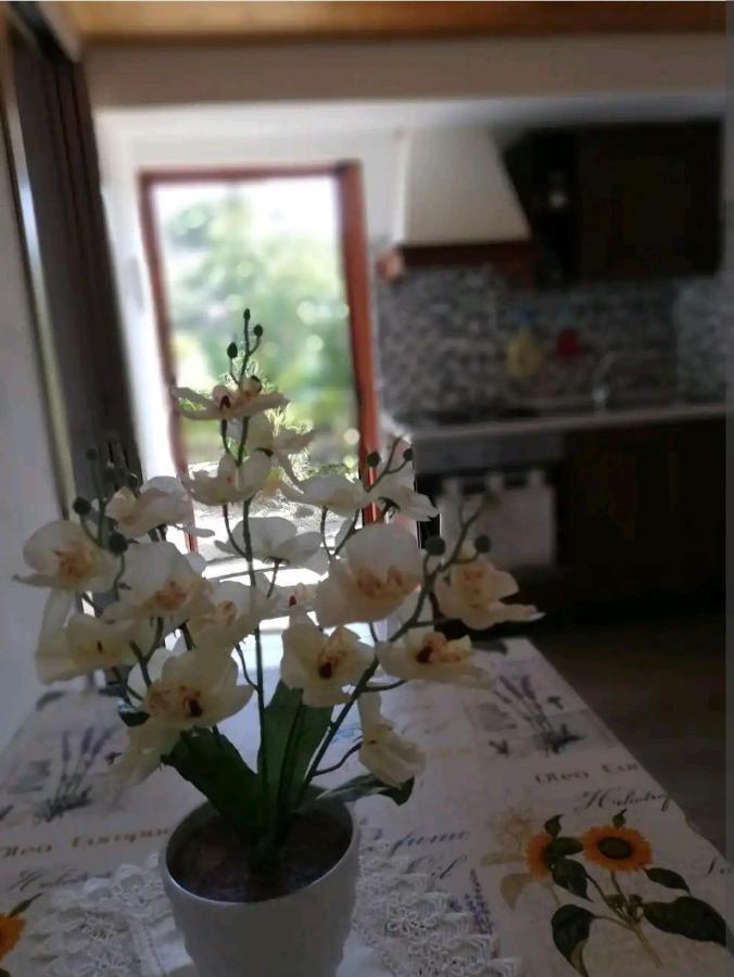 La Gallizza Cefalu Bagian luar foto